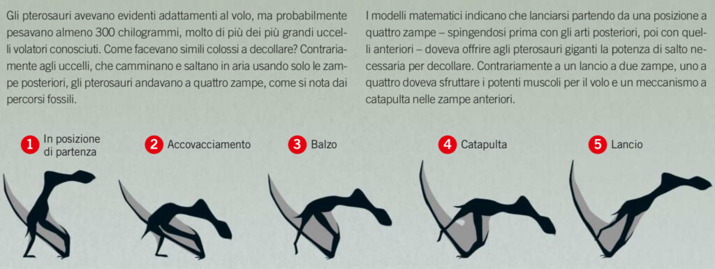Pterosauri Pionieri del Volo e Dominatori dei Cieli